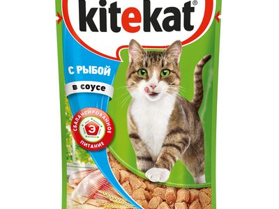 Корм д/кошек 'Китикэт' соус рыба 85г